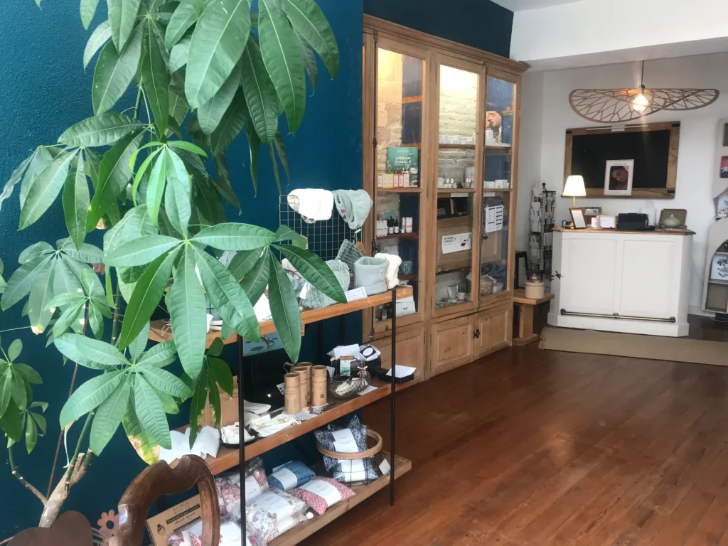 Intérieur d'une boutique de décoration avec une grande plante verte au premier plan, une vitrine en bois et des étagères remplies d'articles.