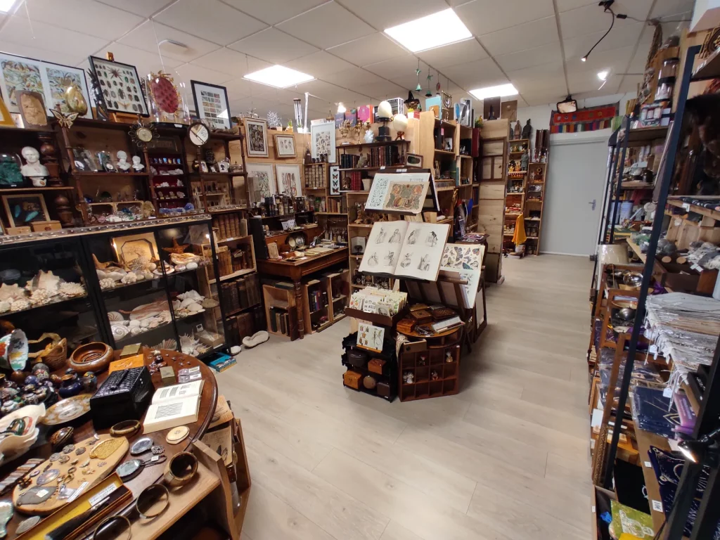 Intérieur d'un magasin d'antiquités rempli d'étagères chargées d'objets curieux, de livres et de décorations.